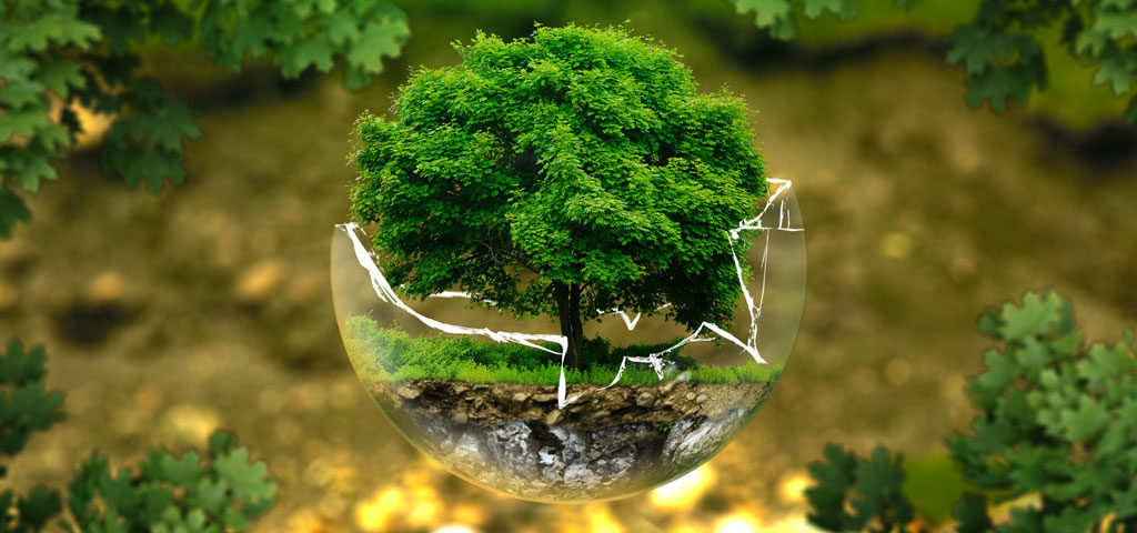 Etudes sur l'environnement